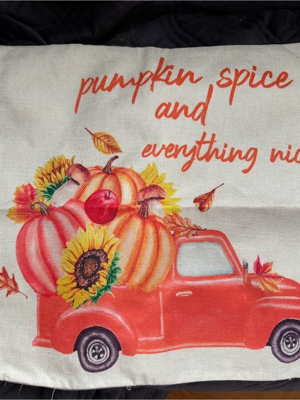 Fall Accent Pillow Covers